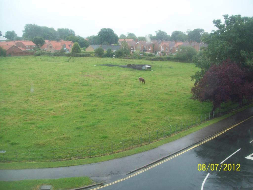 Minster Garth Guest House Beverley Kamer foto