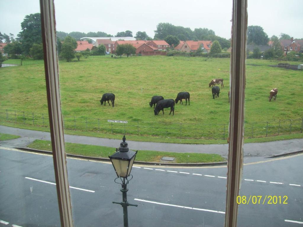 Minster Garth Guest House Beverley Kamer foto
