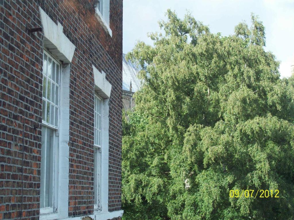 Minster Garth Guest House Beverley Kamer foto